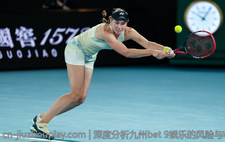 深度分析九州bet 9娱乐的风险与收益